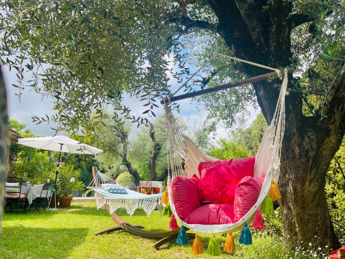 ヴァンス Abeille Bed & Breakfast エクステリア 写真